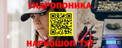 хмурый Гатчина