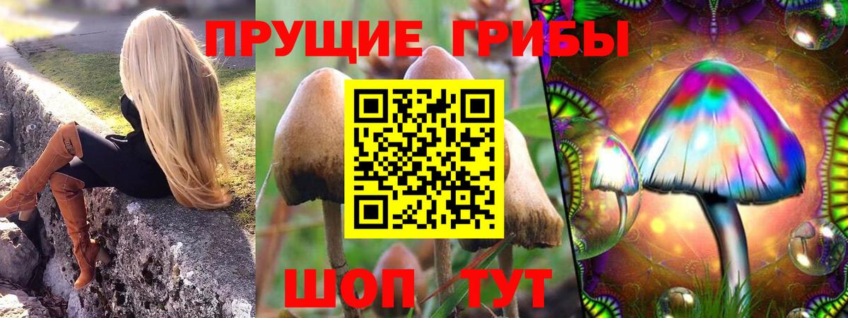 Галлюциногенные грибы Cubensis Мценск