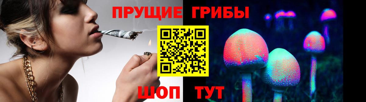 купить закладку  Вход с VPN  Мценск  Галлюциногенные грибы GOLDEN TEACHER 